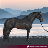 Horse Color:Brown 