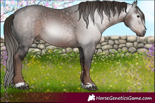 Horse Color:Gray Liver Chestnut Ice