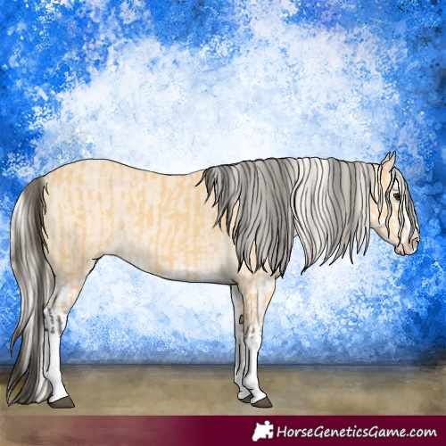 Horse Color:Buckskin Splash  and Cremello Splash 