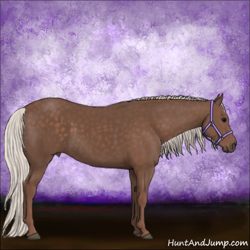 Horse Color:Silver Black 