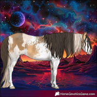 Horse Color:Perlino Sabino and White Spotted Buckskin Sabino
