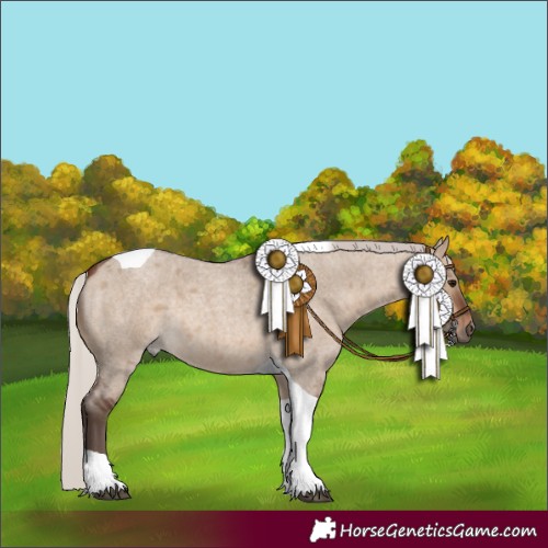 Horse Color:Silver Brown Roan Dun Tobiano 