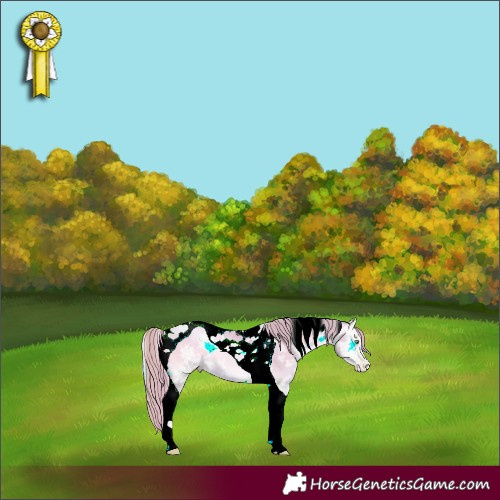 Horse Color:Watercolor Buckskin Ice Pearl Onyx Tobiano 