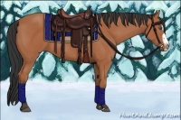 Horse Color:Bay Splash Frame