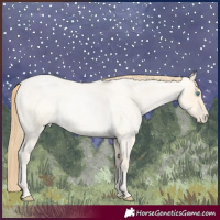 Horse Color:Buckskin Roan Pearl and Buckskin Roan Pearl