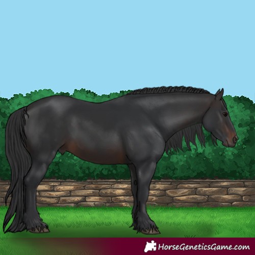 Horse Color:Brown 