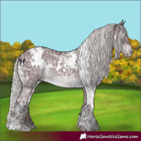 Horse Color:White Spotted Chocolate Silver Black Chinchilla Ice 