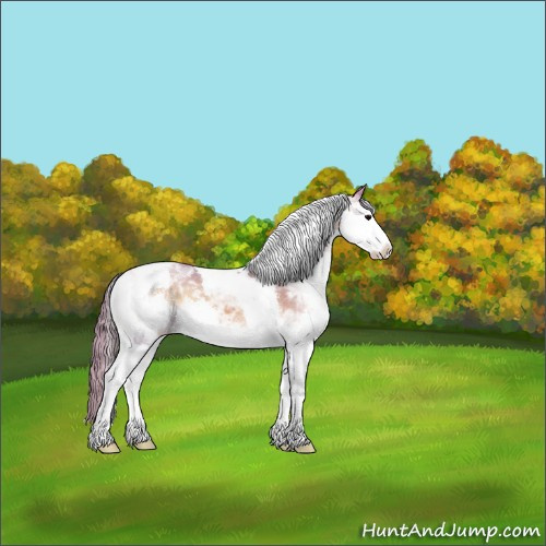 Horse Color:Watercolor Chocolate Bay Ice Onyx Mushroom Sabino Splash Tobiano 