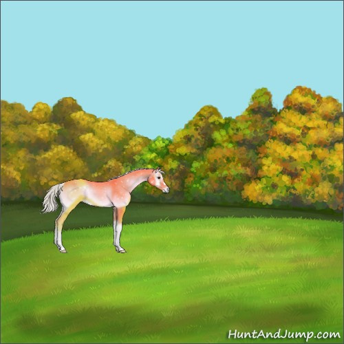 Horse Color:Watercolor Liver Red Onyx 