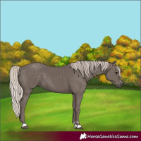 Horse Color:Silver Black 