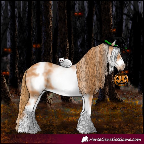 Horse Color:White Spotted Chestnut Sabino Frame