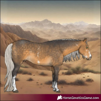 Horse Color:Silver Buckskin Sabino Rabicano 