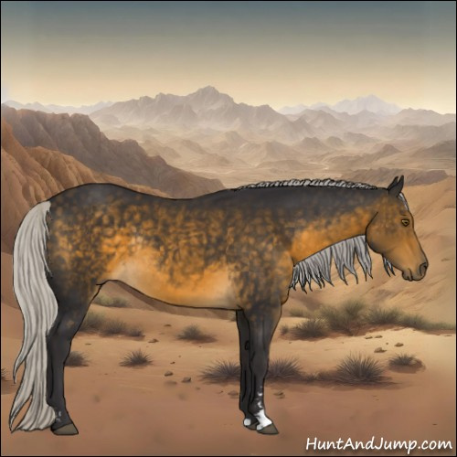 Horse Color:Silver Buckskin Sabino Rabicano 