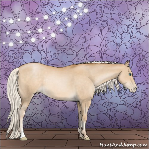 Horse Color:Silver Smoky Black Pearl Sabino Rabicano 