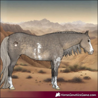 Horse Color:Silver Smoky Grullo Sabino 