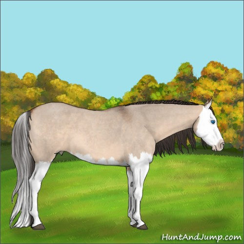 Horse Color:Bay Roan Dun Splash 