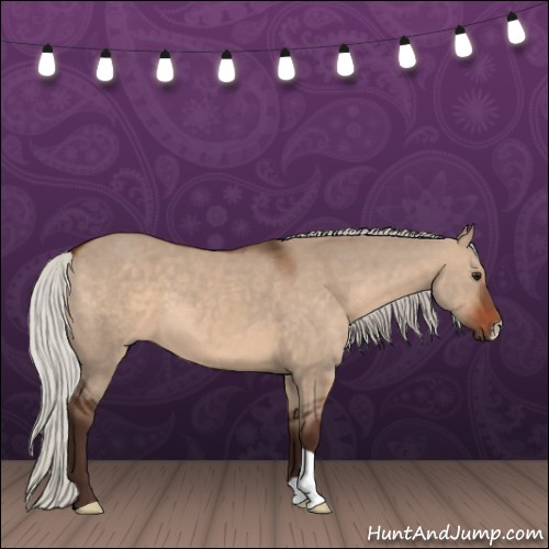 Horse Color:Silver Brown Dun 