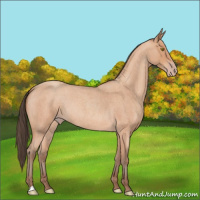 Horse Color:Amber Champagne Roan 