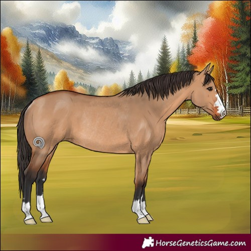 Horse Color:Bay Dun Rabicano 