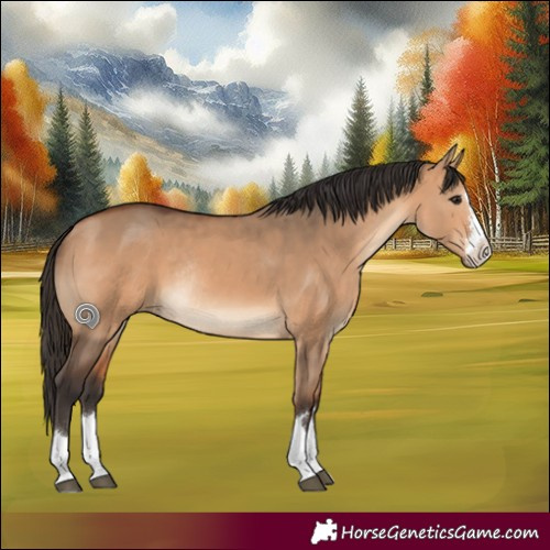 Horse Color:Bay Dun Rabicano