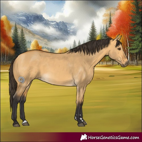 Horse Color:Buckskin Dun Rabicano