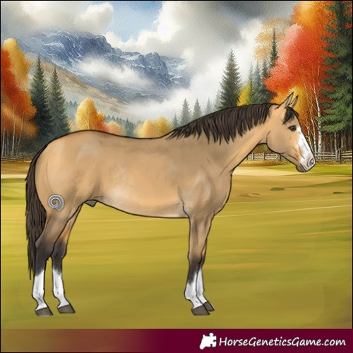 Horse Color:Buckskin Dun Rabicano 