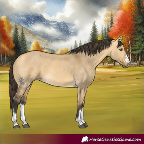 Horse Color:Buckskin Dun Rabicano 