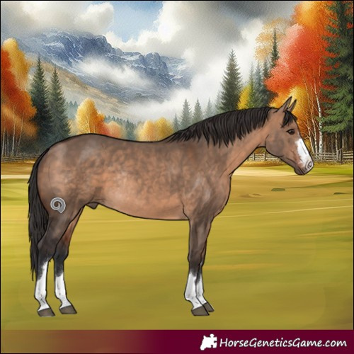 Horse Color:Bay Dun Rabicano 