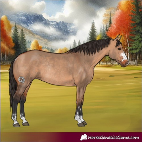 Horse Color:Bay Dun Rabicano 