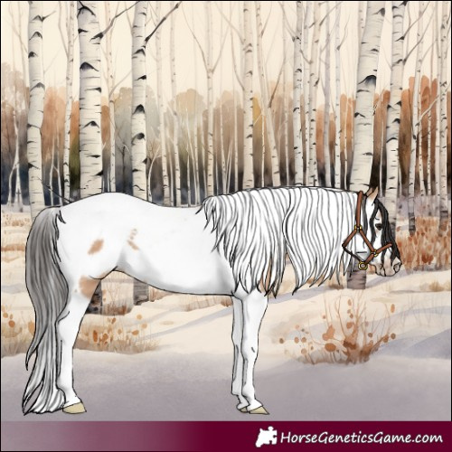 Horse Color:Bay Dun Splash Tobiano Frame 