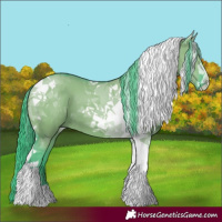 Horse Color:Watercolor Grullo Tobiano 