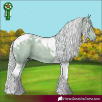 Horse Color:Watercolor Silver Grullo Tobiano 