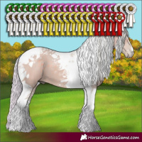 Horse Color:Watercolor Silver Grullo Tobiano