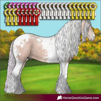 Horse Color:Watercolor Silver Grullo Tobiano 