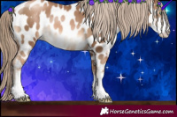 Horse Color:Liver Chestnut Pearl Sabino Appaloosa