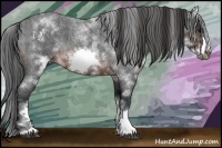 Horse Color:White Spotted Brown Roan Frame