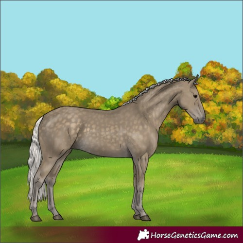 Horse Color:Silver Smoky Black 