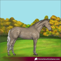Horse Color:Silver Smoky Black 