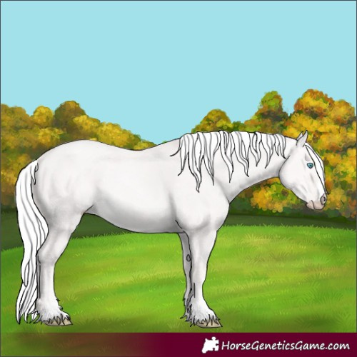 Horse Color:Cremello Dun 