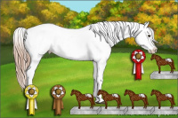Horse Color:Chestnut Blanket 