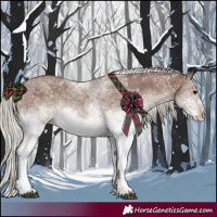 Horse Color:White Spotted Silver Black 