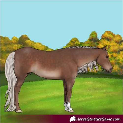 Horse Color:Silver Black 