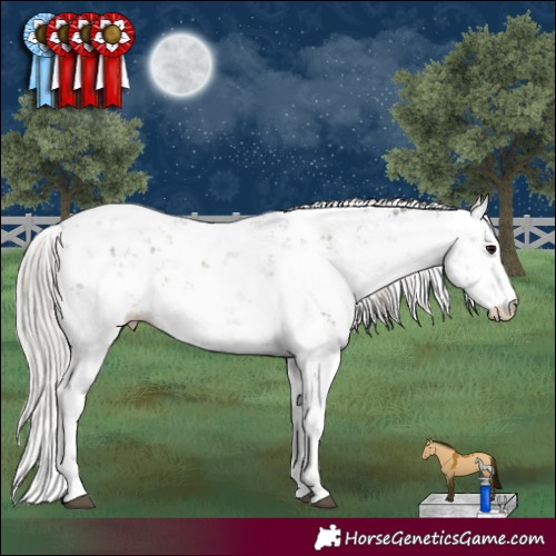 Horse Color:Silver Grullo Sabino 