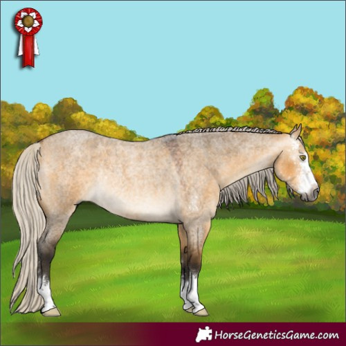 Horse Color:Gray Silver Buckskin Roan Dun Sabino Rabicano 
