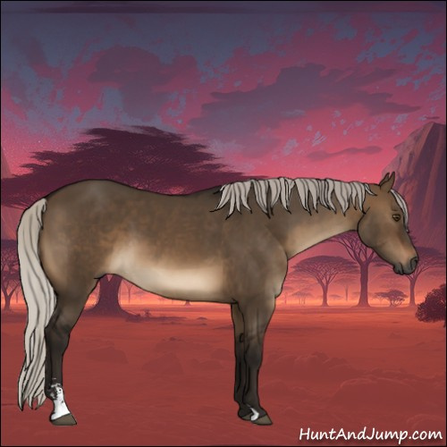 Horse Color:Gray Silver Brown Dun Sabino 
