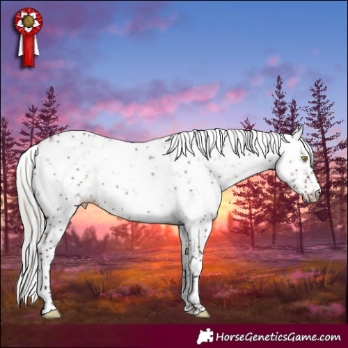 Horse Color:Silver Brown Dun Sabino 