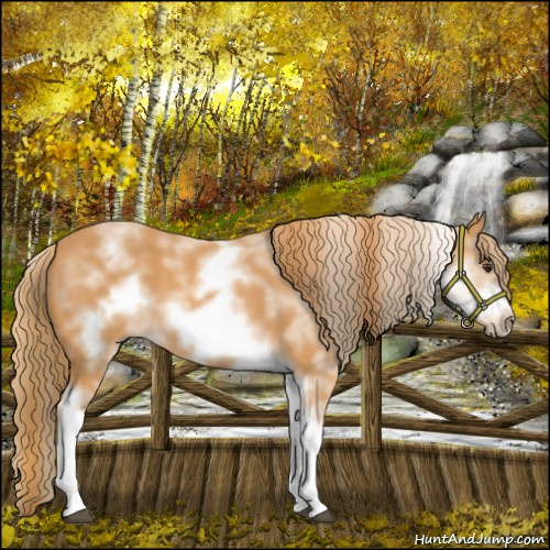 Horse Color:White Spotted Chestnut Sabino Frame 