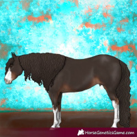 Horse Color:White Spotted Liver Chestnut 