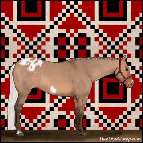 Horse Color:Silver Brown Dun Frame Varnish