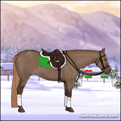 Horse Color:Liver Red Dun Rabicano 